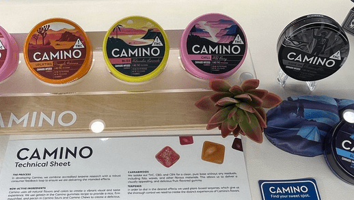 Sunshine City Showdown: Edibles or Flower in Fort Myers?